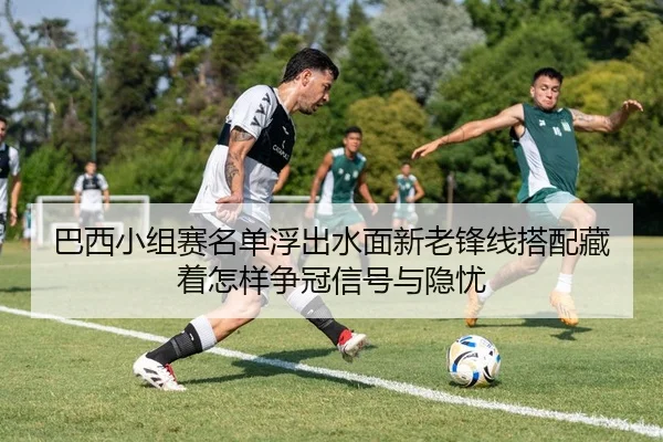 img_1781111548996_255_2_221.jpg
